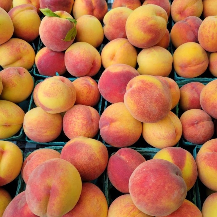 Twin Ridge Peaches